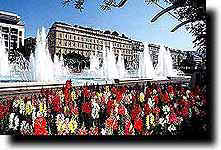 nice7.jpg (10926 bytes)